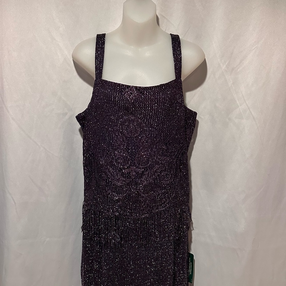 Vintage 1920s Flapper Stlyle Navy Purple Ombre Silver Metallic Fringe Maxi Dress